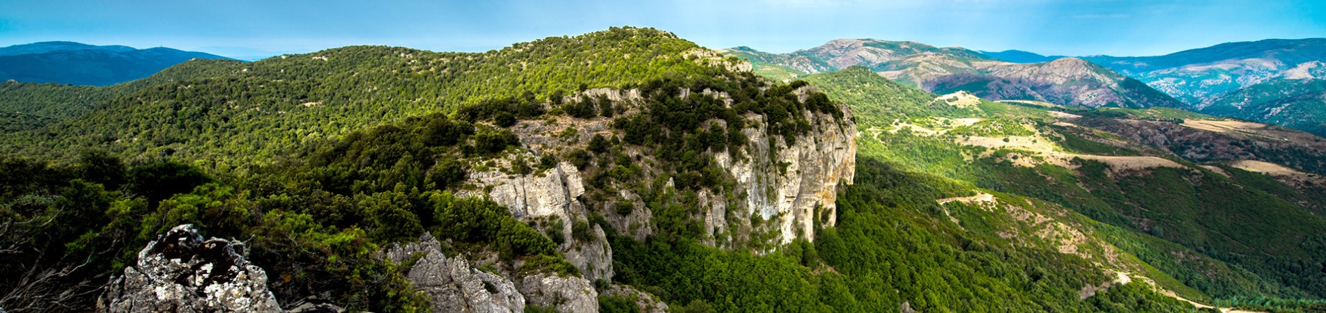 Parco del Montarbu, veduta panoramica